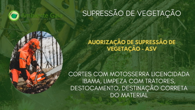 Supressão De Vegetação Ambiente Gaia Engenharia E Consultoria Ambiental 0940